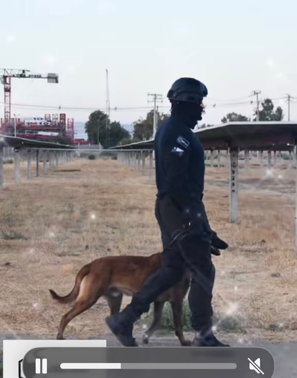 Ronda de patrullaje con binomio K9 en planta solar