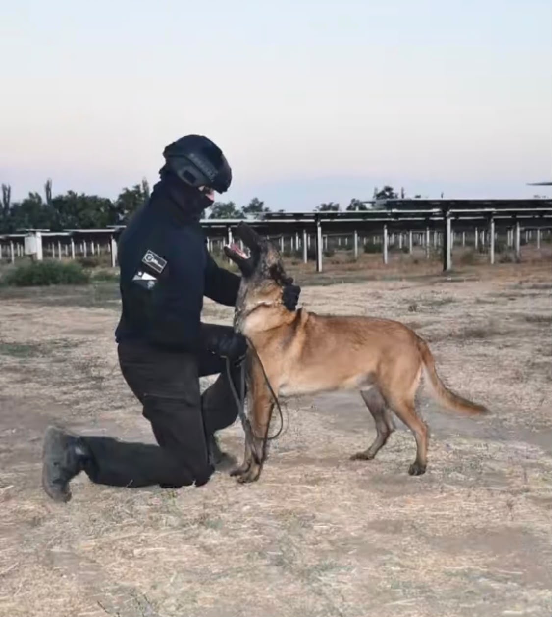 Guardia con binomio K9 en planta fotovoltaica